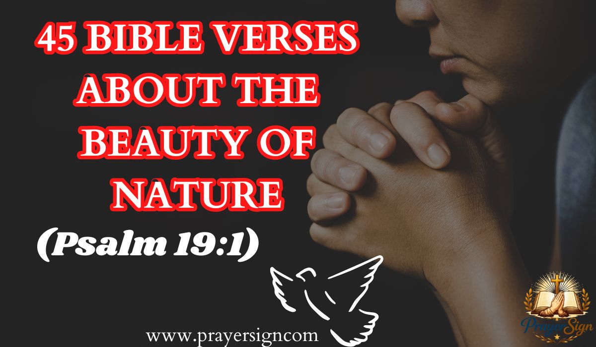 45 Bible Verses About the Beauty of Nature