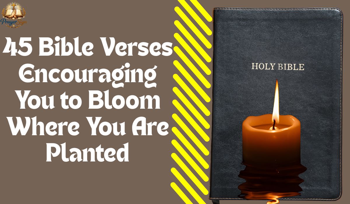 45 Bible Verses Encouraging You to Bloom Where You Are Planted