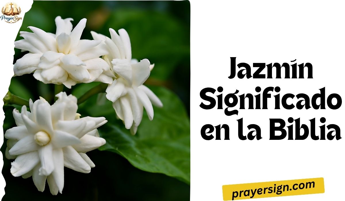 Jazmín Significado en la Biblia: El Mensaje Espiritual que Dios Tiene para Ti Hoy