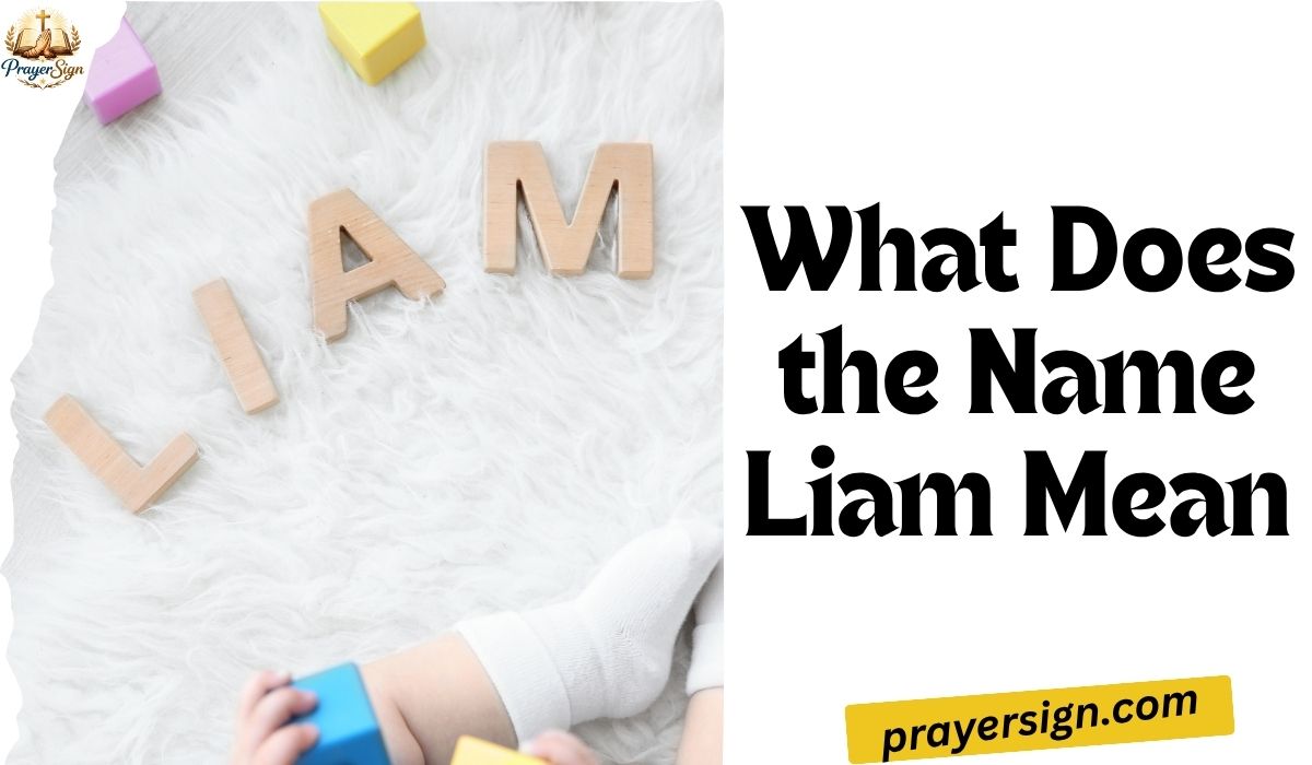 What does the name Liam mean